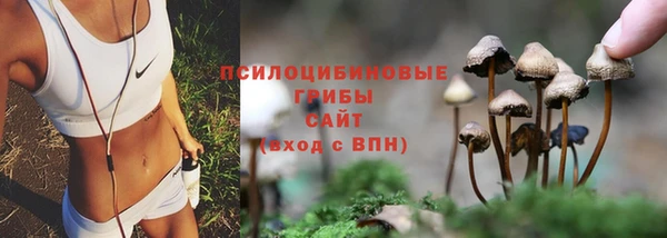 спиды Абинск