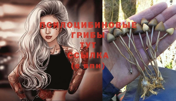 а пвп мука Абдулино