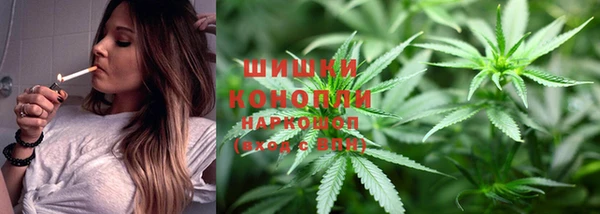трава Абаза