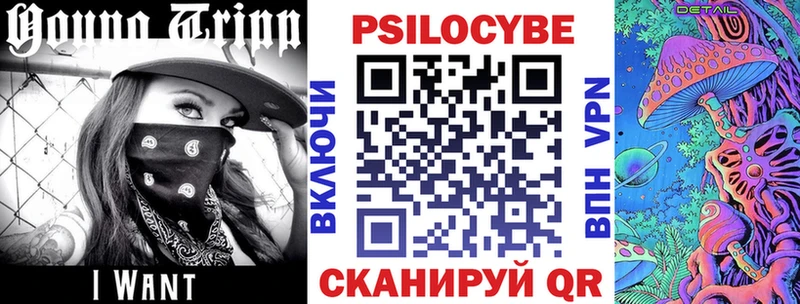 Галлюциногенные грибы Psilocybine cubensis магазин наркотиков Волоколамск